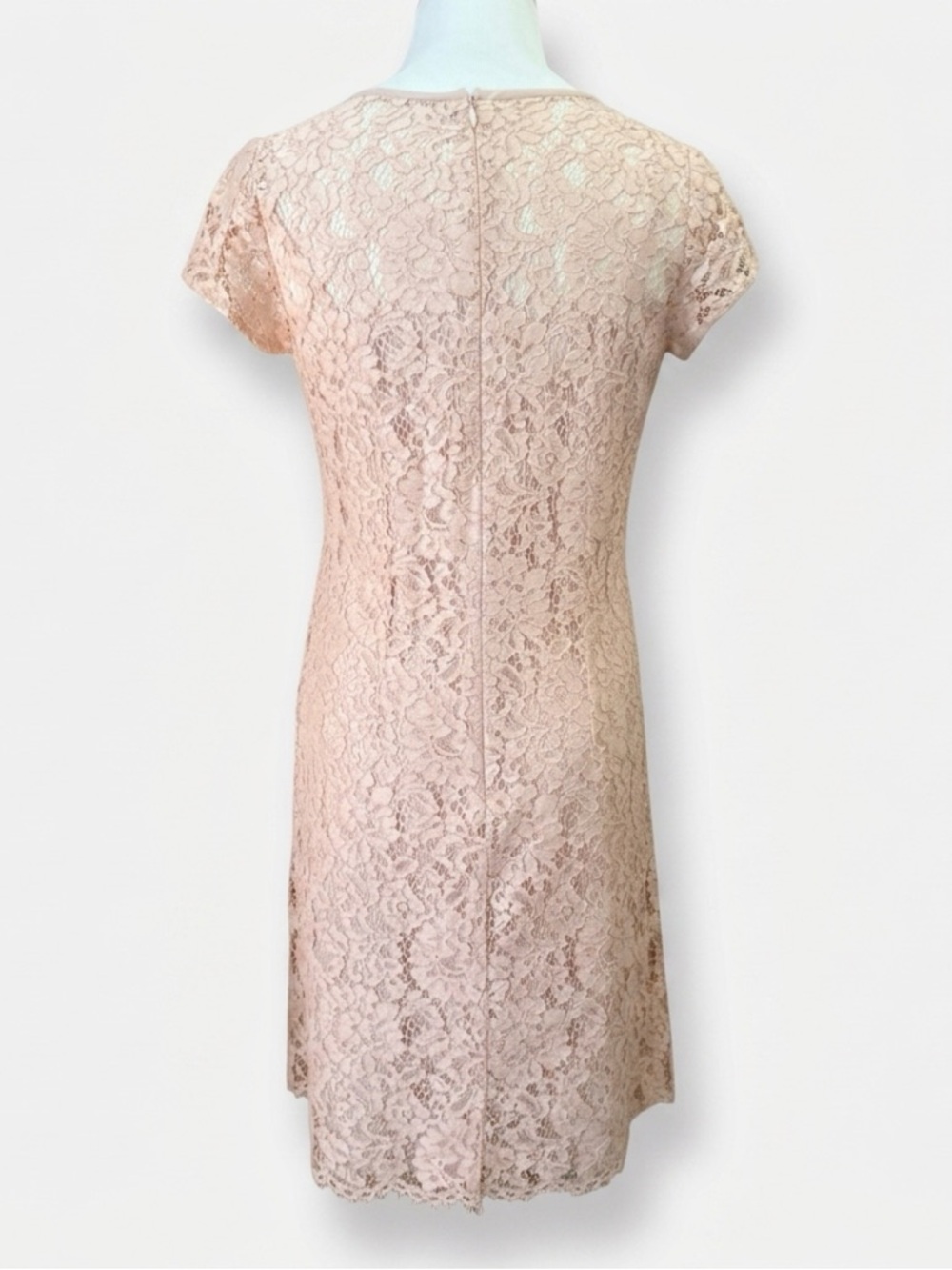 Loft elegant Lace Short-Sleeve Dress in Blush Pink - Picture 2 of 2